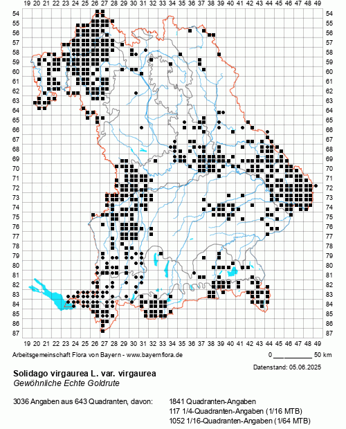 Die Verbreitungskarte zu Solidago virgaurea L. var. virgaurea wird geladen ...