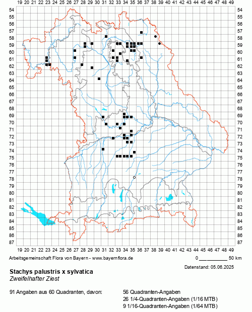 Die Verbreitungskarte zu Stachys palustris x sylvatica wird geladen ...