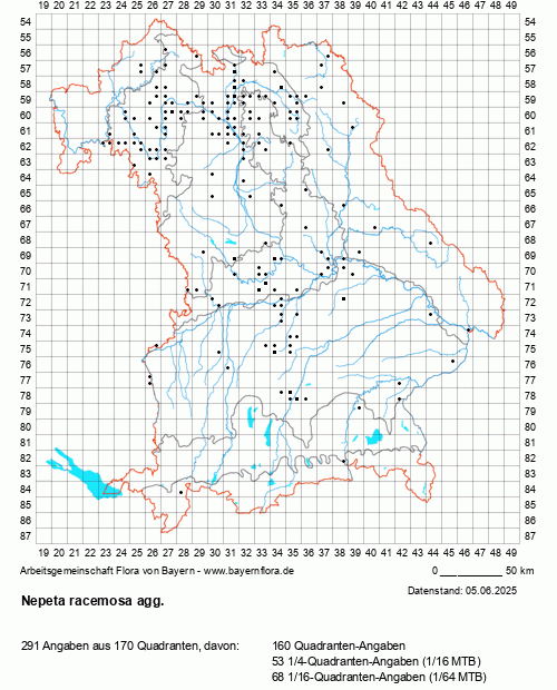 Die Verbreitungskarte zu Nepeta racemosa agg. wird geladen ...