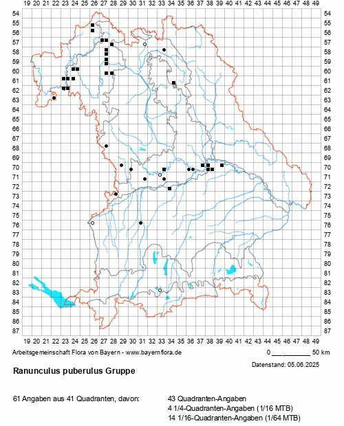 Die Verbreitungskarte zu Ranunculus puberulus Gruppe wird geladen ...