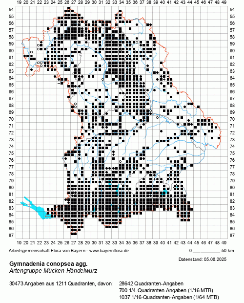 Die Verbreitungskarte zu Gymnadenia conopsea agg. wird geladen ...