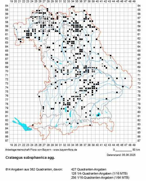 Die Verbreitungskarte zu Crataegus subsphaerica agg. wird geladen ...