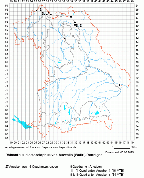 Die Verbreitungskarte zu Rhinanthus alectorolophus var. buccalis (Wallr.) Ronniger wird geladen ...