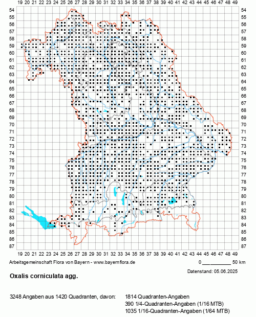 Die Verbreitungskarte zu Oxalis corniculata agg. wird geladen ...