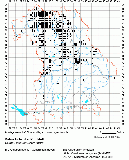 Die Verbreitungskarte zu Rubus holandrei P. J. Müll. wird geladen ...