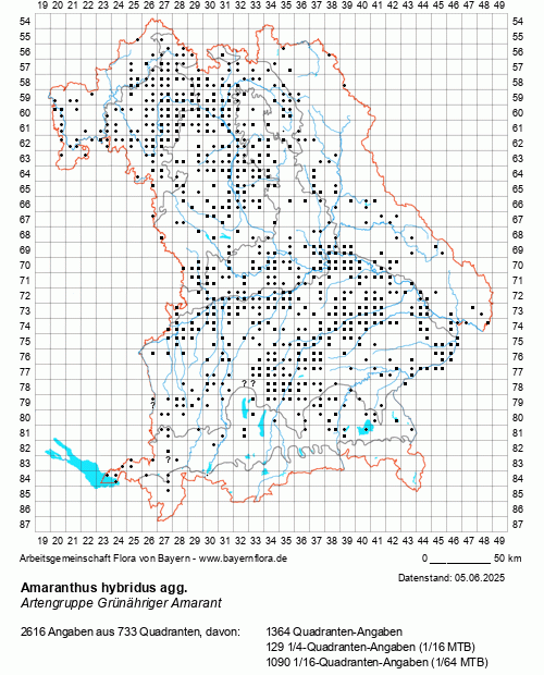Die Verbreitungskarte zu Amaranthus hybridus agg. wird geladen ...