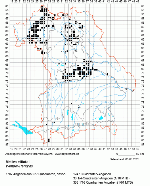 Die Verbreitungskarte zu Melica ciliata L. wird geladen ...