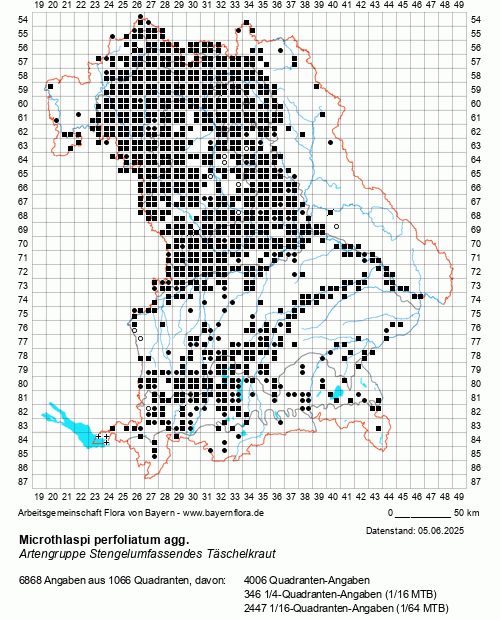 Die Verbreitungskarte zu Microthlaspi perfoliatum agg. wird geladen ...