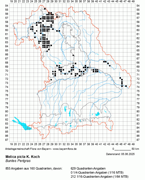 Die Verbreitungskarte zu Melica picta K. Koch wird geladen ...