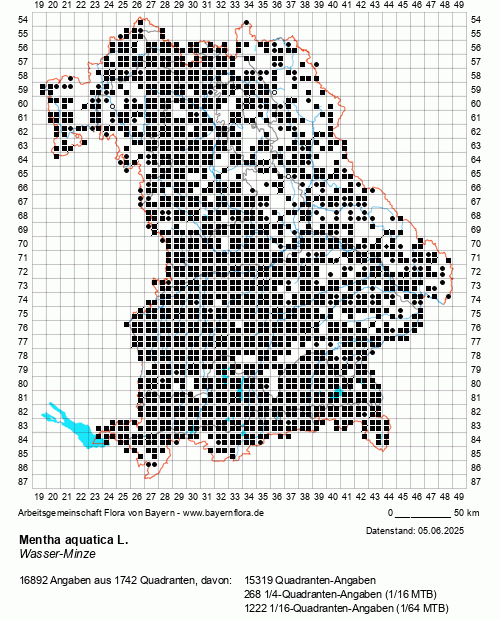 Die Verbreitungskarte zu Mentha aquatica L. wird geladen ...