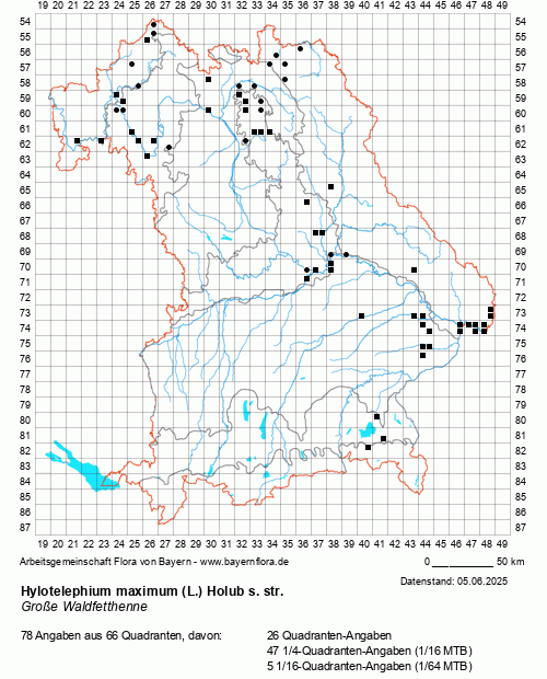 Die Verbreitungskarte zu Hylotelephium maximum (L.) Holub s. str. wird geladen ...