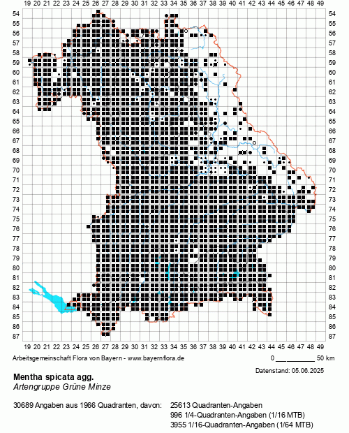 Die Verbreitungskarte zu Mentha spicata agg. wird geladen ...