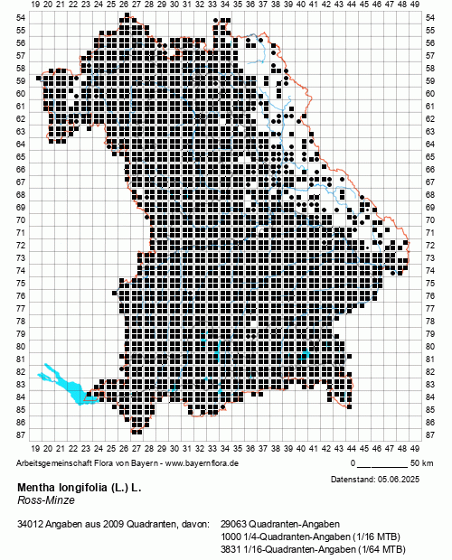 Die Verbreitungskarte zu Mentha longifolia (L.) L. wird geladen ...