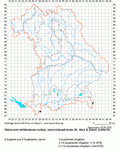 Die Verbreitungskarte zu Hieracium balbisianum subsp. macrolobophorum (K. Harz & Zahn) Gottschl. wird geladen ...