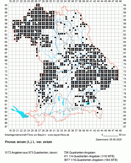 Die Verbreitungskarte zu Prunus avium (L.) L. var. avium wird geladen ...