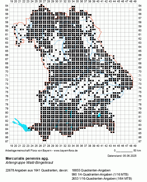 Die Verbreitungskarte zu Mercurialis perennis agg. wird geladen ...