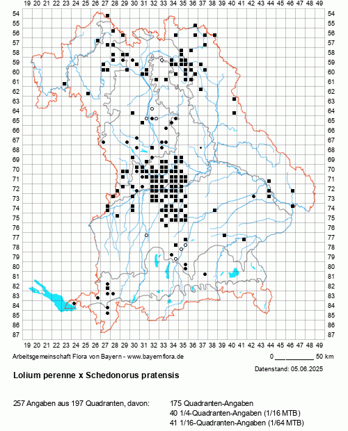 Die Verbreitungskarte zu Lolium perenne x Schedonorus pratensis wird geladen ...