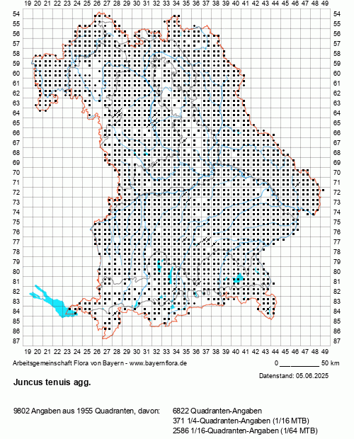 Die Verbreitungskarte zu Juncus tenuis agg. wird geladen ...