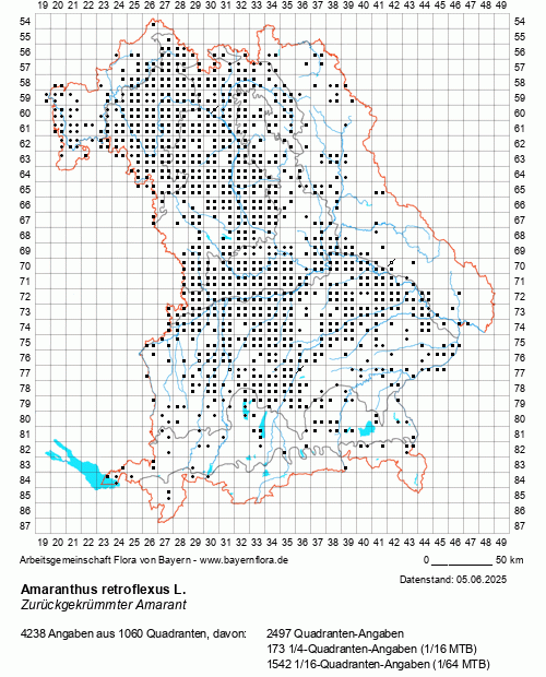 Die Verbreitungskarte zu Amaranthus retroflexus L. wird geladen ...