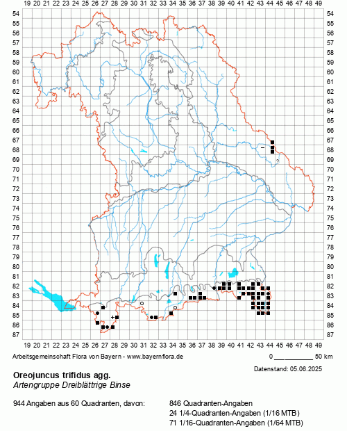 Die Verbreitungskarte zu Oreojuncus trifidus agg. wird geladen ...