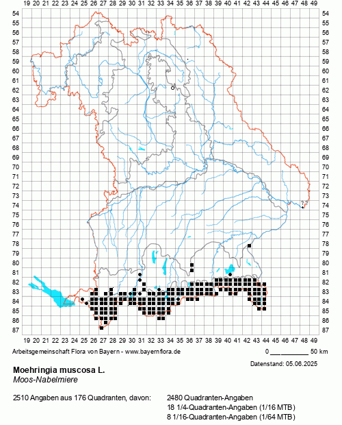 Die Verbreitungskarte zu Moehringia muscosa L. wird geladen ...