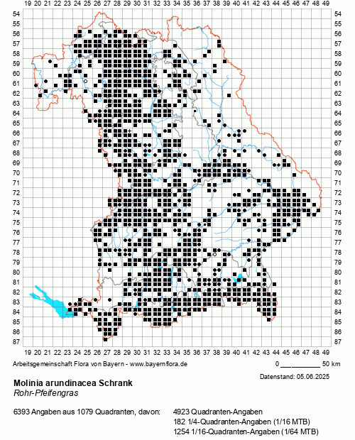 Die Verbreitungskarte zu Molinia arundinacea Schrank wird geladen ...