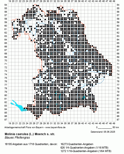 Die Verbreitungskarte zu Molinia caerulea (L.) Moench s. str. wird geladen ...