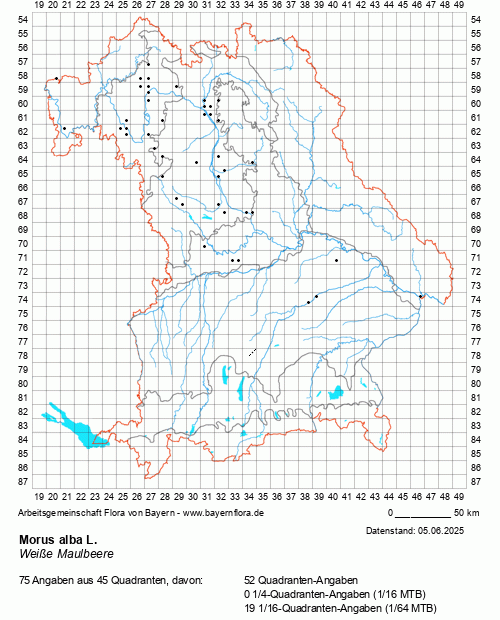 Die Verbreitungskarte zu Morus alba L. wird geladen ...