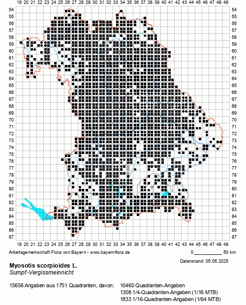 Die Verbreitungskarte zu Myosotis scorpioides L. wird geladen ...