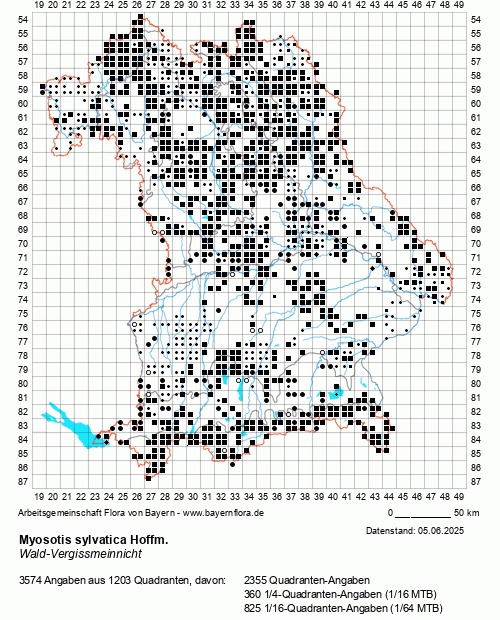 Die Verbreitungskarte zu Myosotis sylvatica Hoffm. wird geladen ...