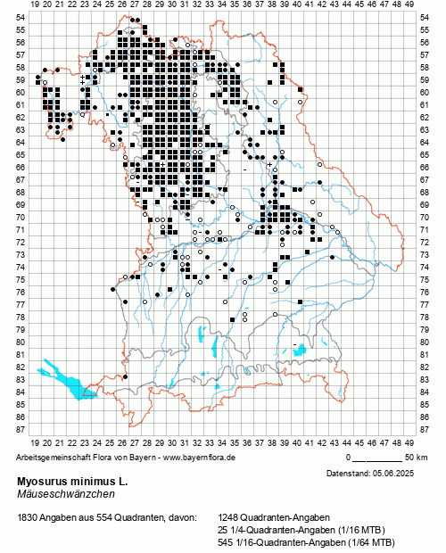 Die Verbreitungskarte zu Myosurus minimus L. wird geladen ...