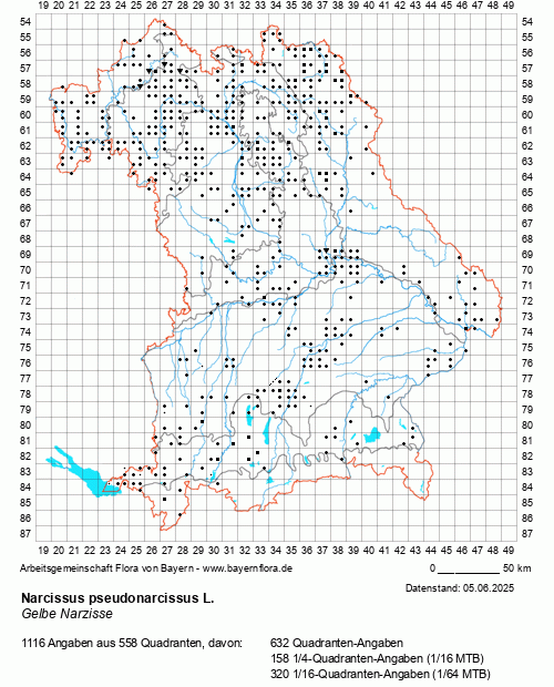 Die Verbreitungskarte zu Narcissus pseudonarcissus L. wird geladen ...