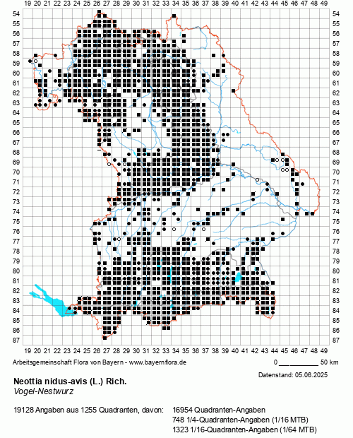 Die Verbreitungskarte zu Neottia nidus-avis (L.) Rich. wird geladen ...