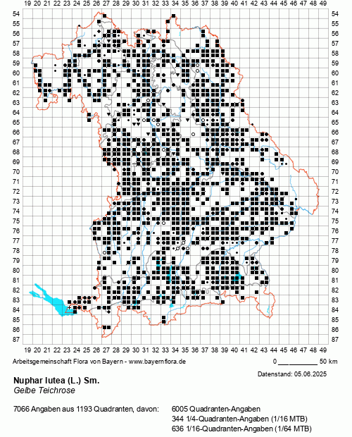 Die Verbreitungskarte zu Nuphar lutea (L.) Sm. wird geladen ...
