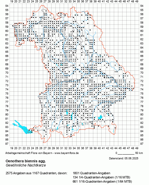 Die Verbreitungskarte zu Oenothera biennis agg. wird geladen ...