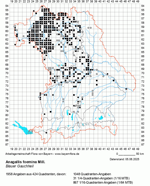 Die Verbreitungskarte zu Anagallis foemina Mill. wird geladen ...