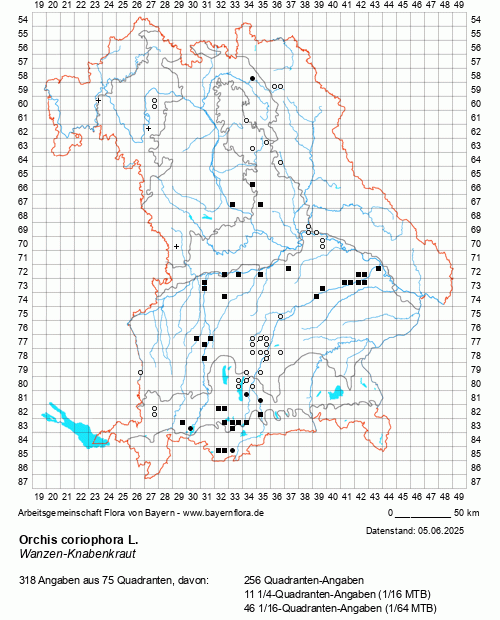 Die Verbreitungskarte zu Orchis coriophora L. wird geladen ...