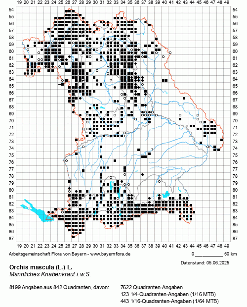 Die Verbreitungskarte zu Orchis mascula (L.) L. wird geladen ...