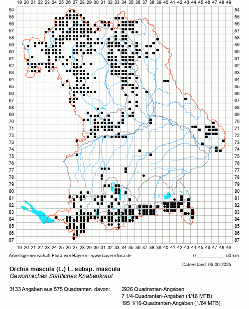 Die Verbreitungskarte zu Orchis mascula (L.) L. subsp. mascula wird geladen ...