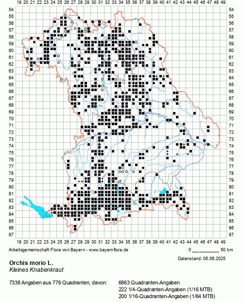 Die Verbreitungskarte zu Orchis morio L. wird geladen ...