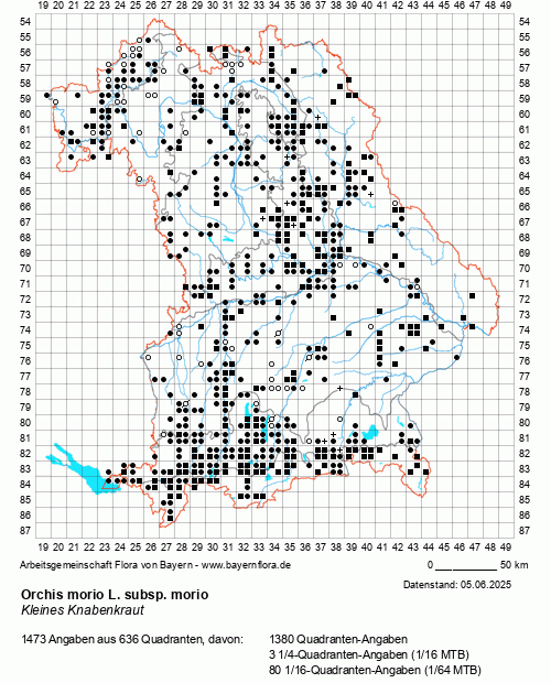 Die Verbreitungskarte zu Orchis morio L. subsp. morio wird geladen ...