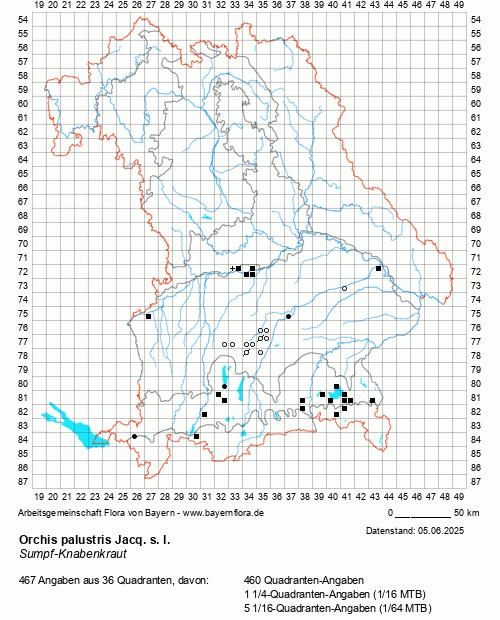 Die Verbreitungskarte zu Orchis palustris Jacq. s. l. wird geladen ...