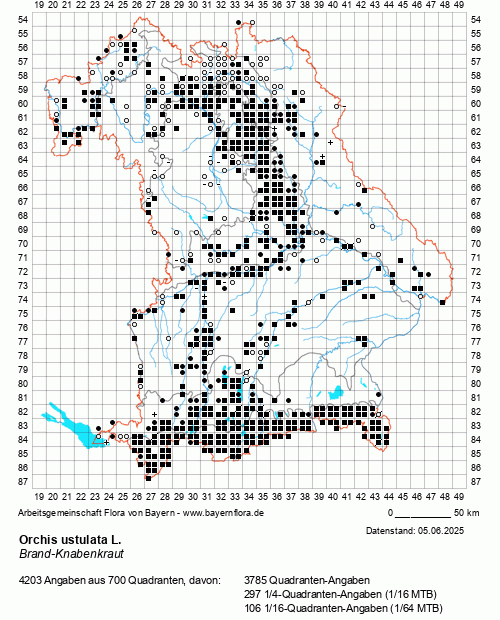 Die Verbreitungskarte zu Orchis ustulata L. wird geladen ...