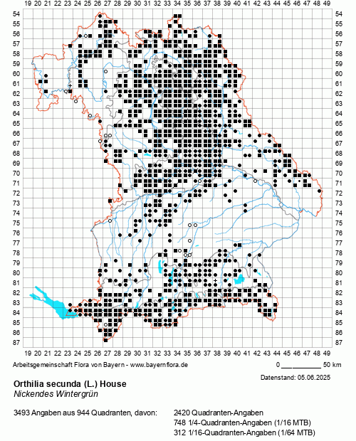 Die Verbreitungskarte zu Orthilia secunda (L.) House wird geladen ...