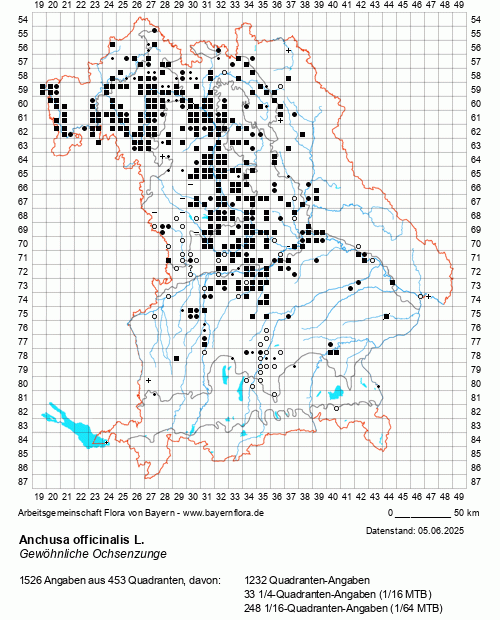 Die Verbreitungskarte zu Anchusa officinalis L. wird geladen ...