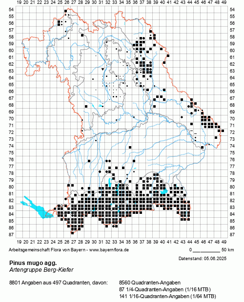 Die Verbreitungskarte zu Pinus mugo agg. wird geladen ...