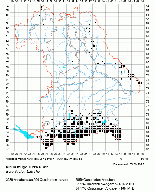 Die Verbreitungskarte zu Pinus mugo Turra s. str. wird geladen ...
