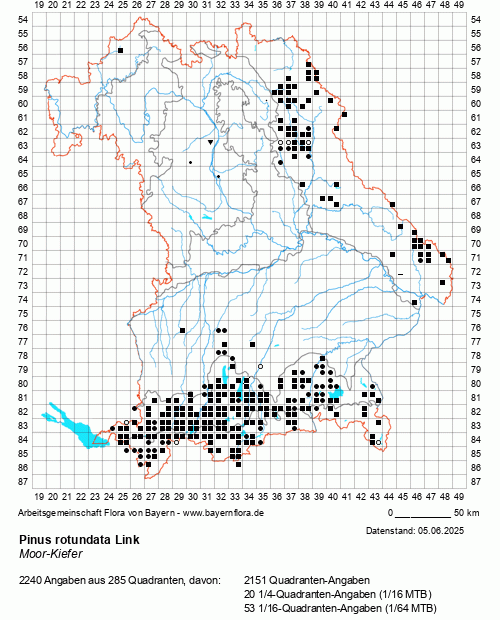 Die Verbreitungskarte zu Pinus rotundata Link wird geladen ...