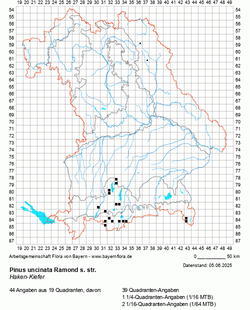 Die Verbreitungskarte zu Pinus uncinata Ramond s. str. wird geladen ...