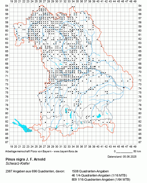 Die Verbreitungskarte zu Pinus nigra J. F. Arnold wird geladen ...